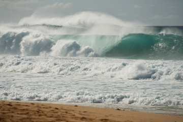 Beach break in Hawaii 