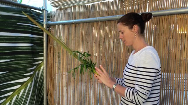 Jewish woman blessing on the four species (etrog,lulav ,hadass,aravah) in a sukkah or succah during the week-long Jewish festival of Sukkot.