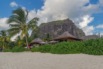 Mauritius berühmter Hausberg, der Le Morne Brabant mit Strand und einer Palme im Vordergrund
