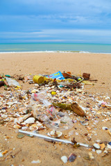 Pollution on the beach of tropical sea.