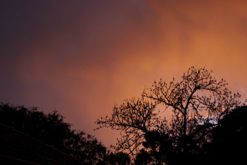 The more you see, than can ever be seen