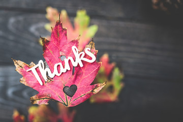 Thanks on a red maple leaf