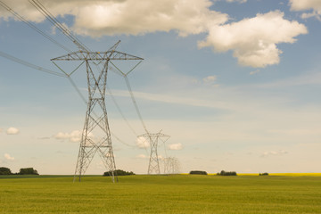 High Voltage Power Lines in Field