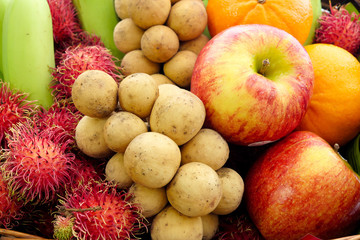 Fruits of Thailand