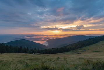 Landscape of green mountain pasture, hillsides covered with dense forest of green pines and firs. Sunset in Carpathians mountains in august, west Ukraine. Cloudscape of cumulus. Blurred background