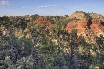 Theodore Roosevelt National Park is in Western North Dakota