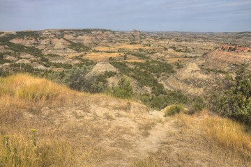 Theodore Roosevelt National Park is in Western North Dakota