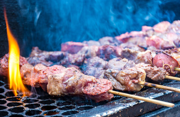 Skewers of meat