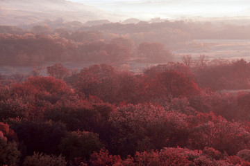 autumn landscape in the early morning with the sun