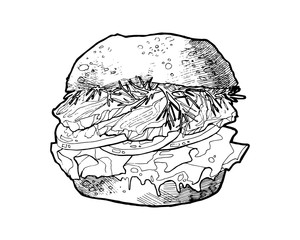 illustration of a burger . Hand drawn food illustration. Fast food,junk food. Food vector picture isolated on white background.Vector illustration in sketch style. Hand drawn design elements.