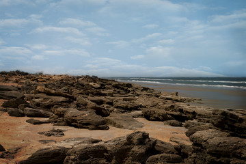 Coquina Slabs on the Beach