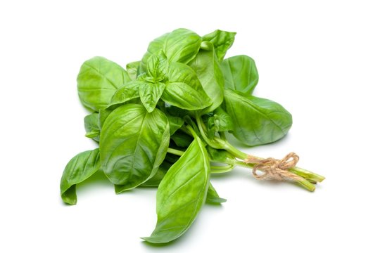 Fresh basil