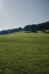 Grüne Wiese bei Sonnenaufgang Schweizer Bergen