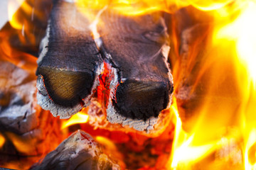 Bonfire in nature. Flames in the grill. Burning wood in the fire during a picnic. 