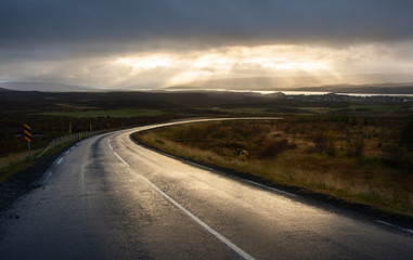 Sunny road to horizon