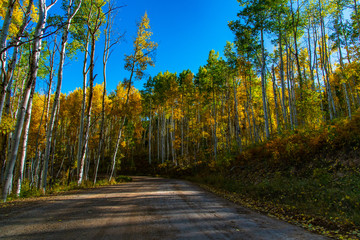 Beautiful Road in Autumn, Colorado Mountains