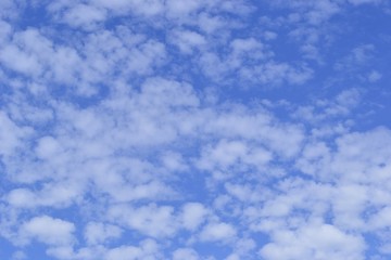 Небо в крапинку