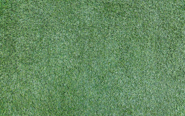Green grass texture background Soccer field