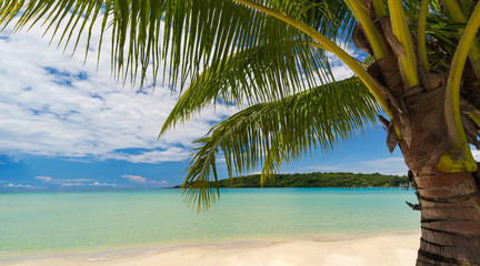 Fototapeta na wymiar Beautiful tropical beach and sea with coconut palm tree under blue sky