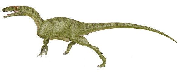 恐竜　ゴジラサウルス　日本を代表するモンスターであるゴジラのマニアである命名者が学名にその名を冠した。三畳紀後期としては最大級の大きさであった。ディロフォサウルスに近い体型と思われている。イラストはジュラ紀に至る以前の肉食恐竜としてふさわしい体型に描いた。