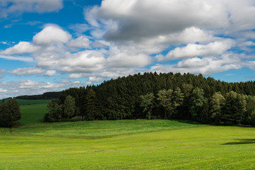 Fototapeta na wymiar Hügellandschaft in Oberschwaben