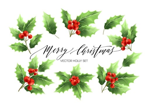 Christmas holly branches realistic illustrations set