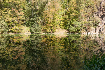 Reflection of trees in the lake in autumn