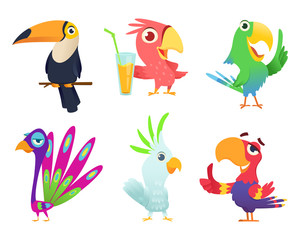 Fototapeta premium Tropical parrots characters. Feathered exotic macaw birds pets colored wings funny exotic flying arara action poses vector pictures. Animal bird character various colored illustration