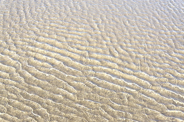 Seamless sand background. Sand texture. Sandy beach for background.