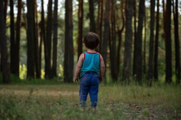 Little boy on a lawn in front of a large pine forest. The child herself, the clothes are dirty, the look from the back