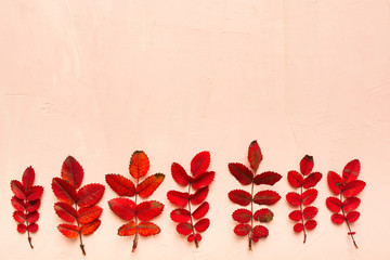 Autumn red leaves elegant colorful design background with copy space