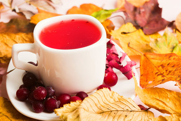 Hot red drink with colorful dry leaves around cup with cranberry