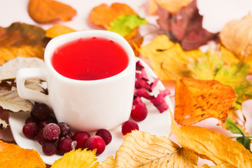 Hot red drink with colorful dry leaves around cup with cranberry
