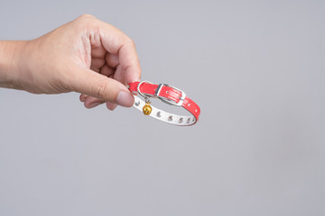 Hand holding pet collar with bell