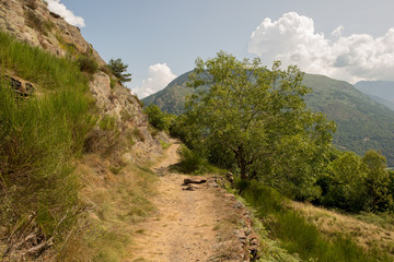 Road through the mountain in the valley of aran