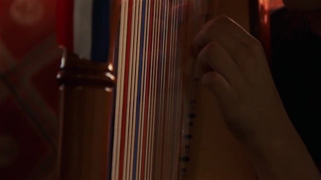 Girl Playing the Paraguayan Harp.
