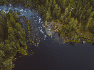 The Vassfaret forest seen from drone