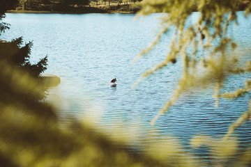 The Bogstadvannet lake in Oslo