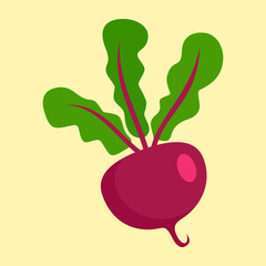 Beet icon. Flat illustration of beet vector icon for web design
