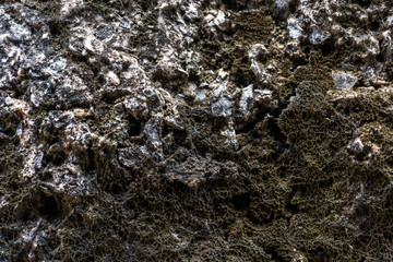 Macro view Stone Brick Wall with moss texture background.