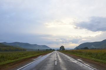  The road to the wild lands      
