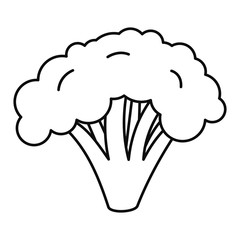 Broccoli icon. Outline broccoli vector icon for web design isolated on white background