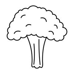 Salad broccoli icon. Outline salad broccoli vector icon for web design isolated on white background