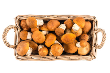 Mushrooms boletus in a basket isolated on white background.