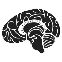 Human brain icon. Simple illustration of human brain vector icon for web design isolated on white background