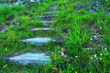Secret stairs on the hill