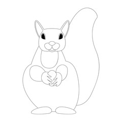 squirrel  with nut  vector illustration  front 
