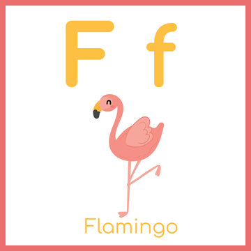 Cute animal alphabet. F letter. Cute flamingo.