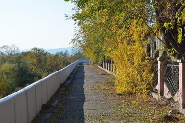 Fototapeta na wymiar A walkway with the fence