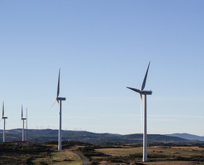 wind landscape